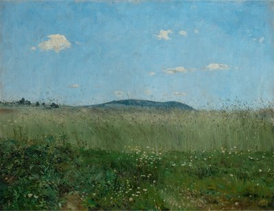 In der Luft der Heimat von Frantisek Kavan